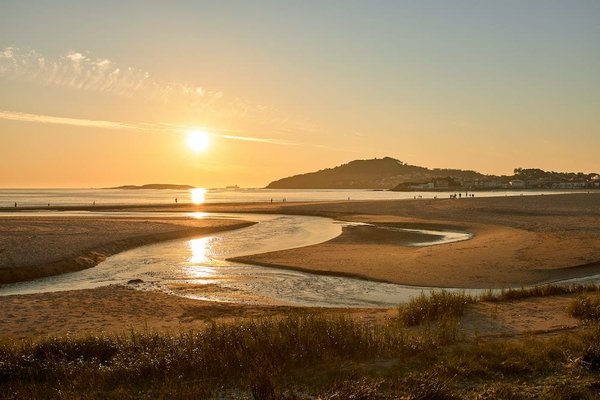 Quels sont les débouchés pour les diplômés des écoles de management ?