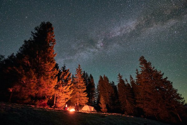 Mobil home ou appartement: quel hébergement choisir pour le camping en presqu'ile de Giens?